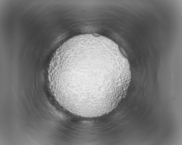 X0000077990071200611251422