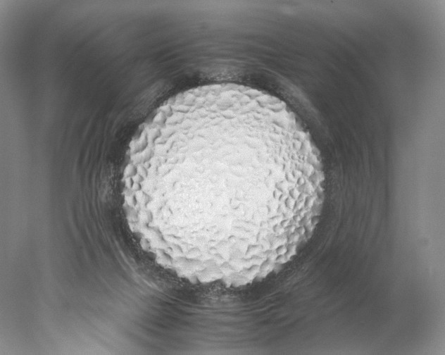 X0000077990073200611251422