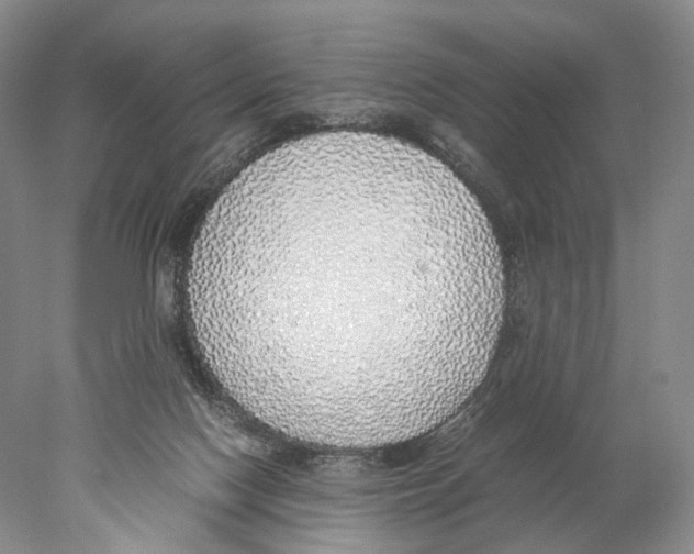 X0000077990074200611251422