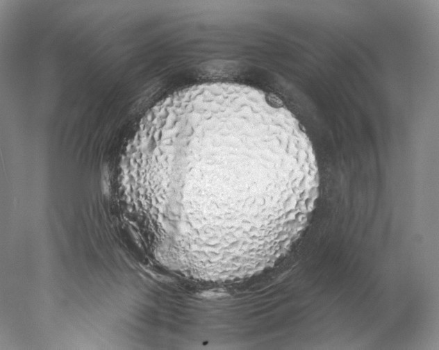 X0000077990075200611251422