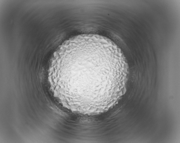 X0000077990077200611251422