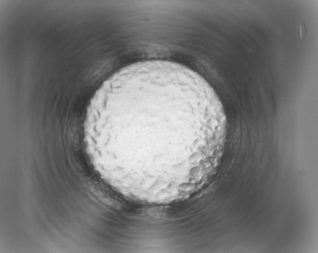 X0000077990078200611251422