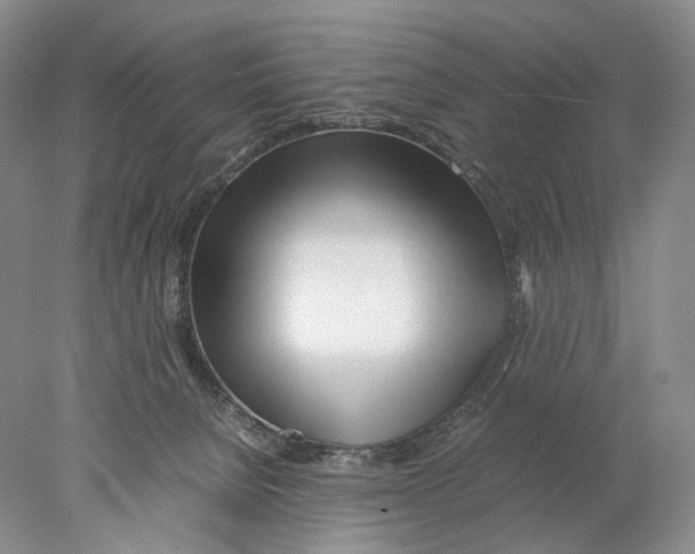 X0000077990080200611251422