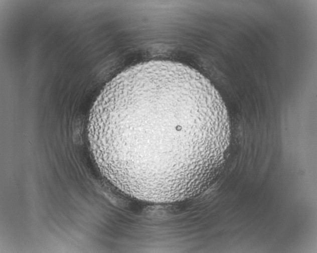 X0000077990082200611251422