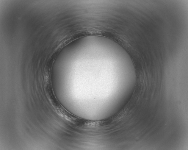 X0000077990084200611251422