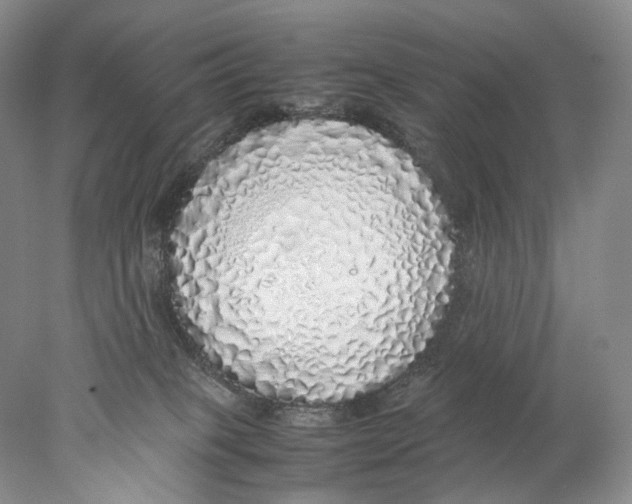 X0000077990085200611251422