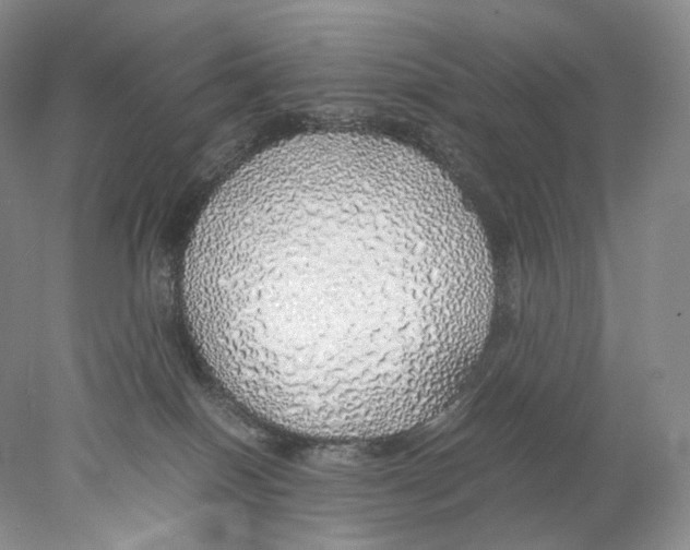 X0000077990086200611251422