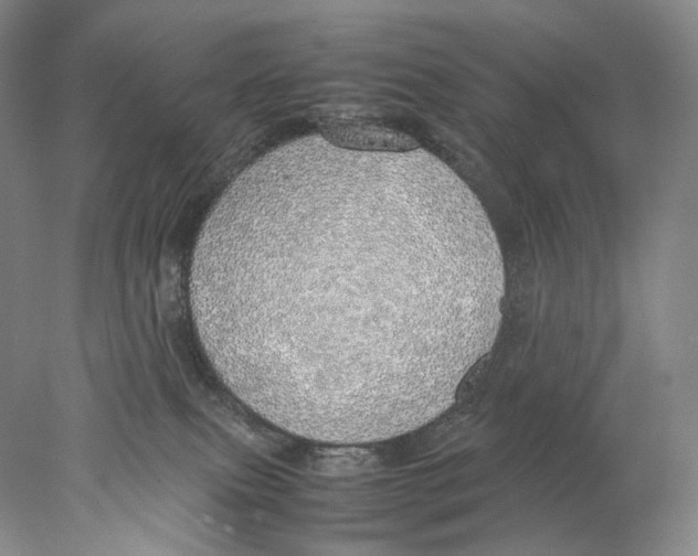 X0000077990087200611251422