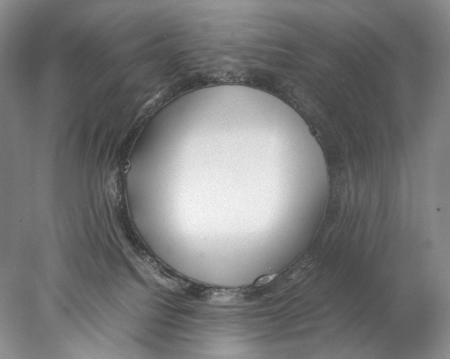 X0000077990088200611251422