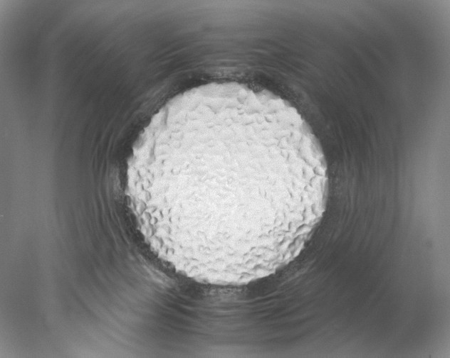 X0000077990089200611251422