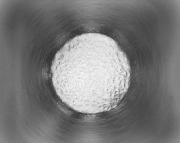 X0000077990090200611251422
