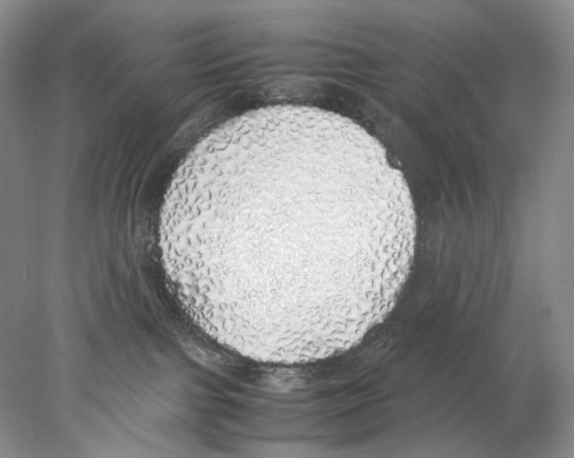 X0000077990091200611251422