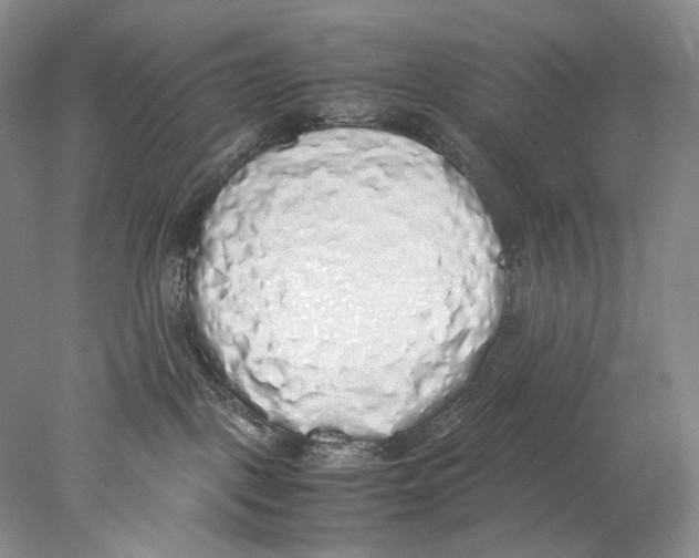 X0000077990093200611251422