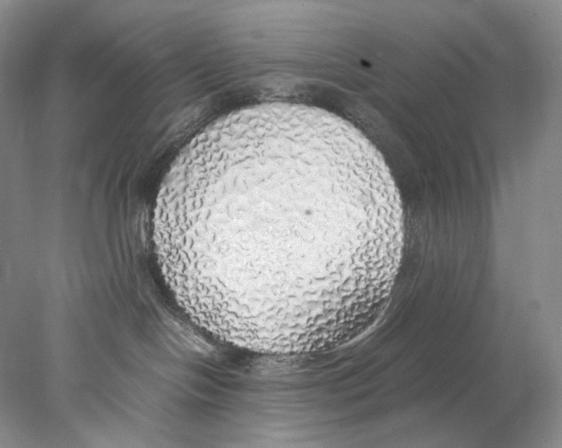 X0000077990094200611251422