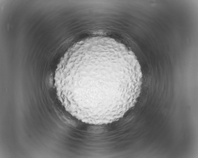 X0000077990095200611251422