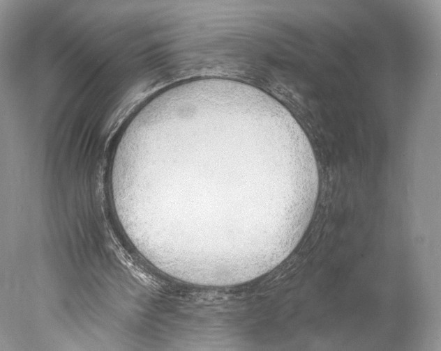 X0000077990098200611251422