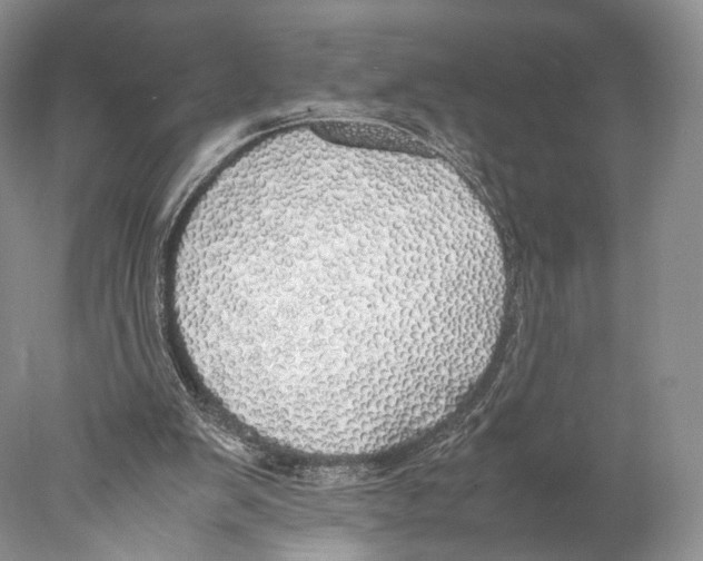 X0000077990103200611251422