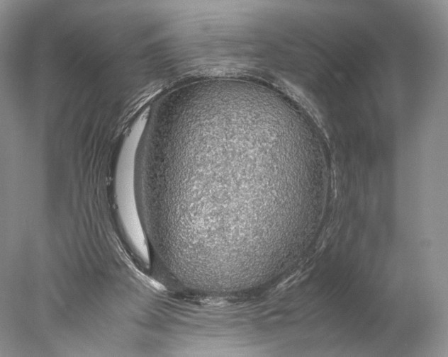 X0000077990105200611251422