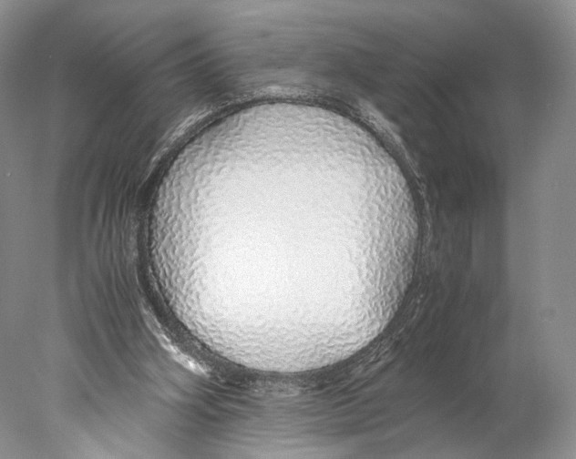 X0000077990106200611251422