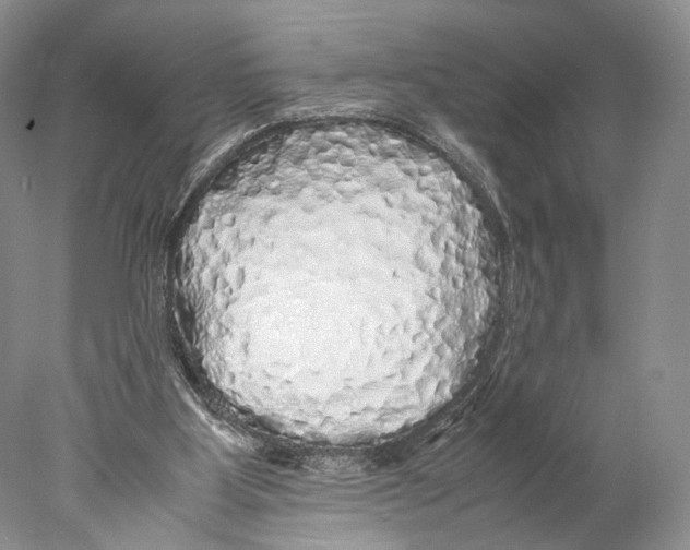 X0000077990107200611251422