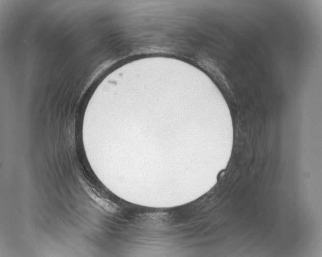 X0000077990108200611251421