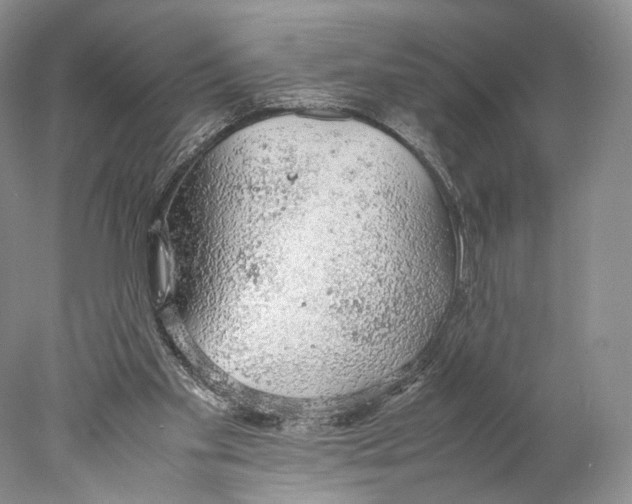 X0000077990109200611251421