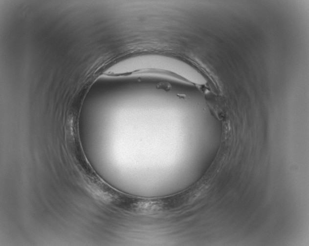 X0000077990117200611251421