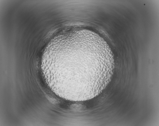 X0000077990119200611251421