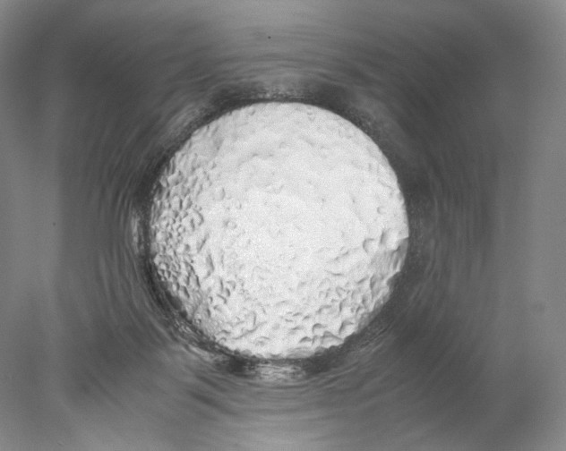 X0000077990123200611251421