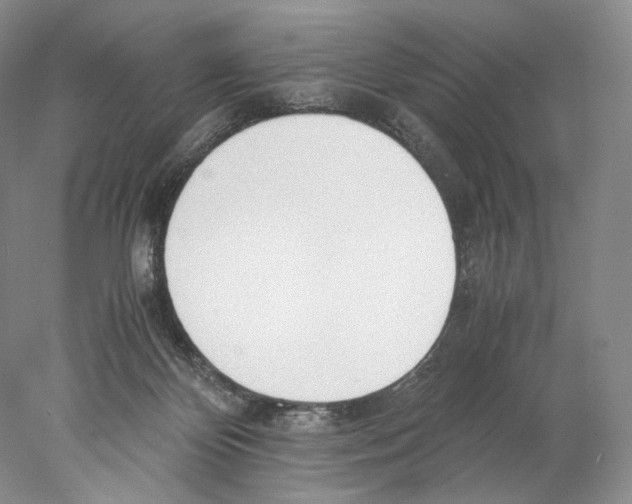 X0000077990124200611251421
