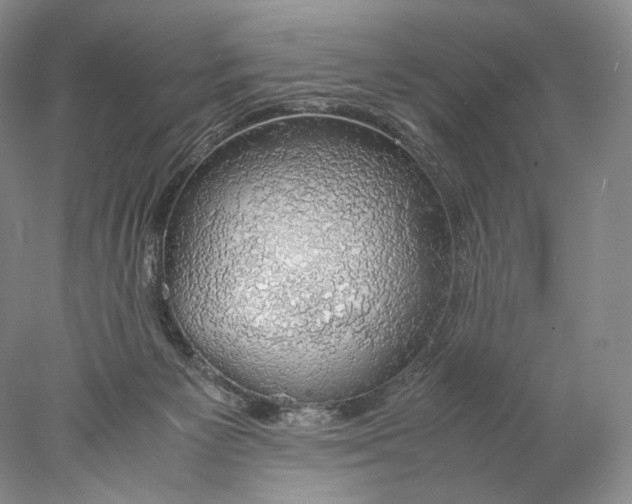 X0000077990125200611251421