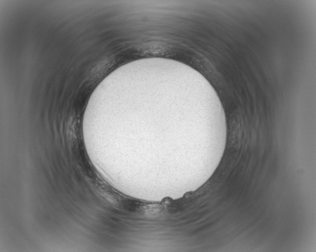 X0000077990126200611251421