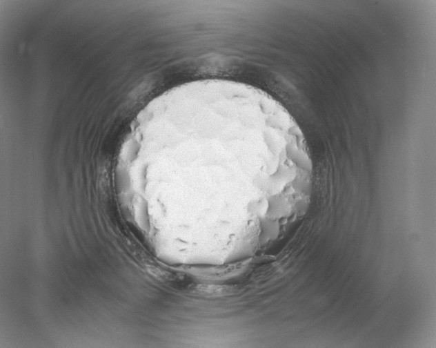 X0000077990127200611251421