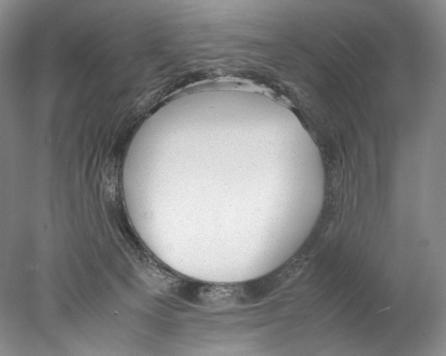 X0000077990129200611251421