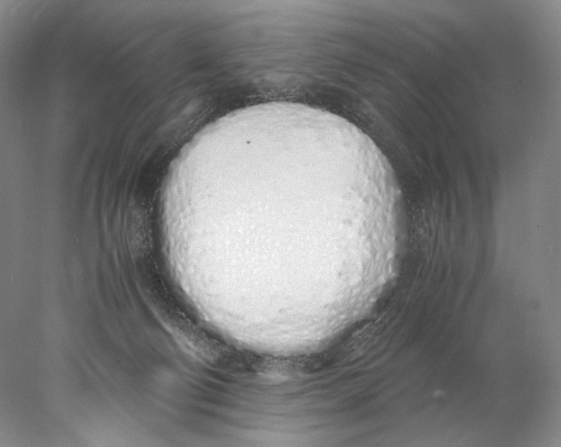 X0000077990130200611251421