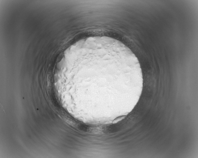 X0000077990131200611251421