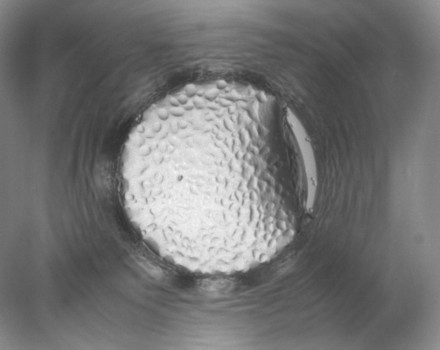 X0000077990135200611251421