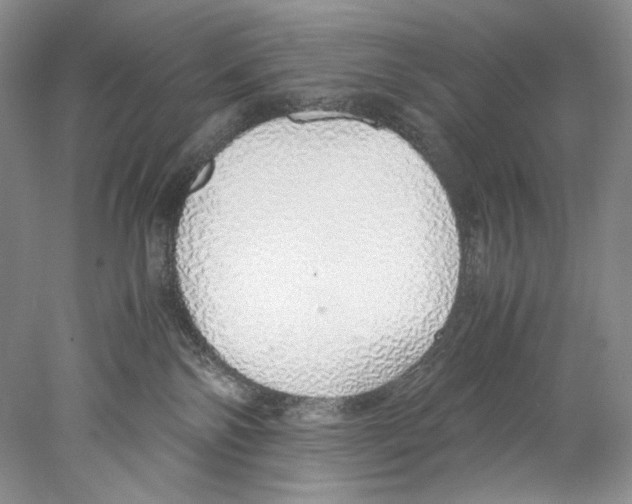 X0000077990138200611251421