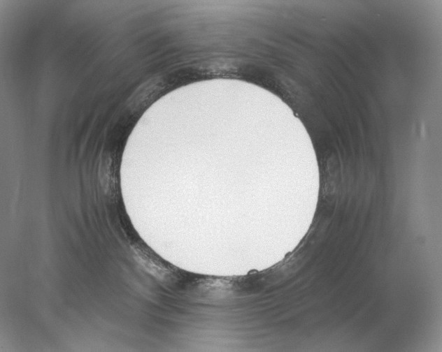 X0000077990140200611251421