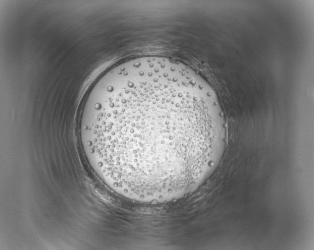 X0000077990147200611251420
