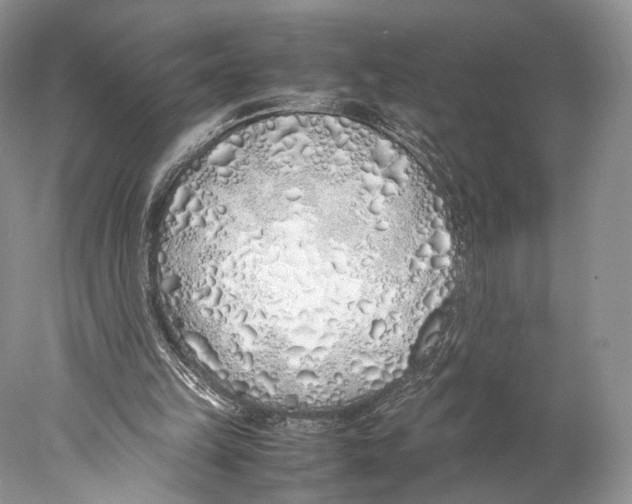X0000077990149200611251420