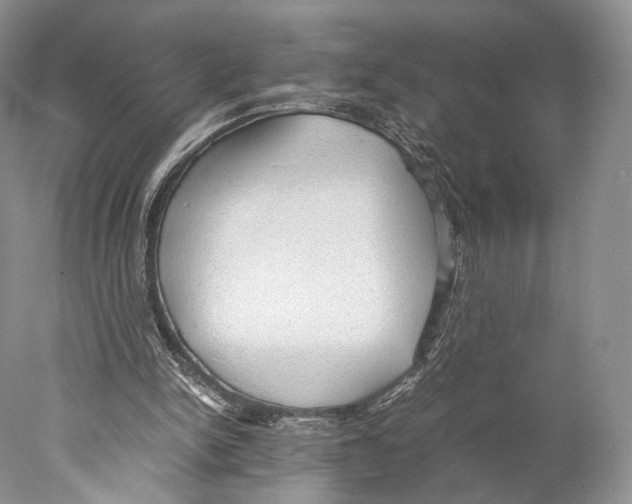 X0000077990150200611251420