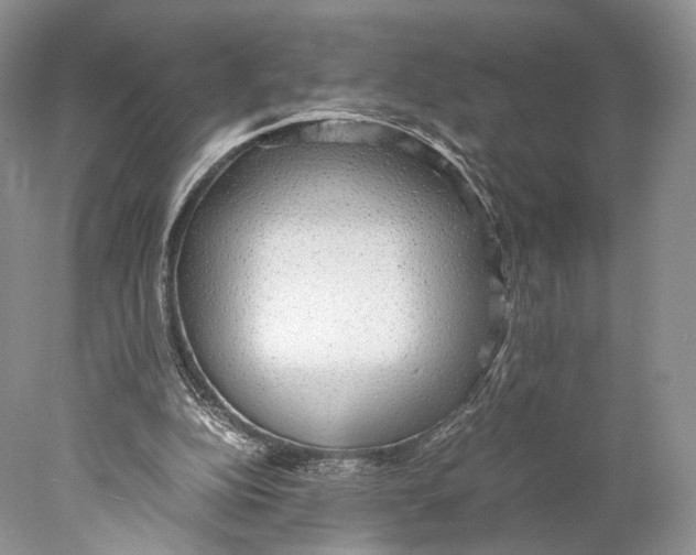 X0000077990152200611251420
