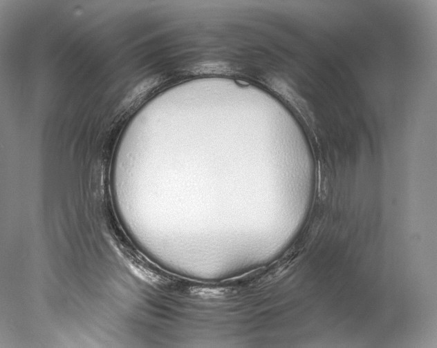 X0000077990157200611251420
