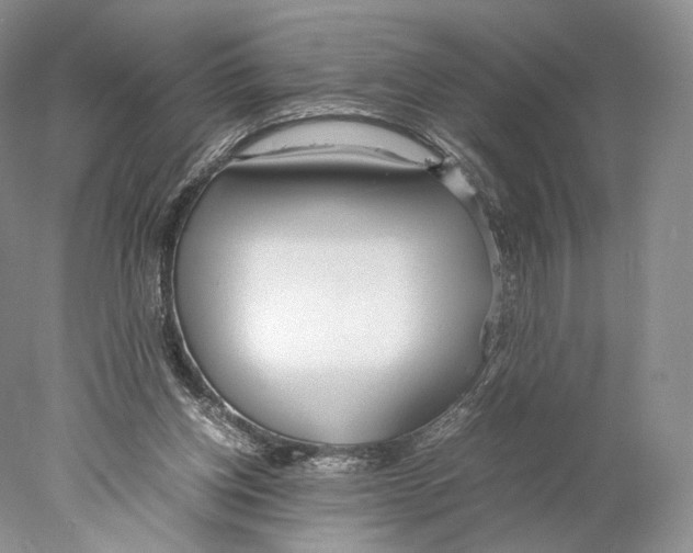 X0000077990158200611251420