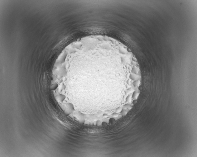 X0000077990165200611251420