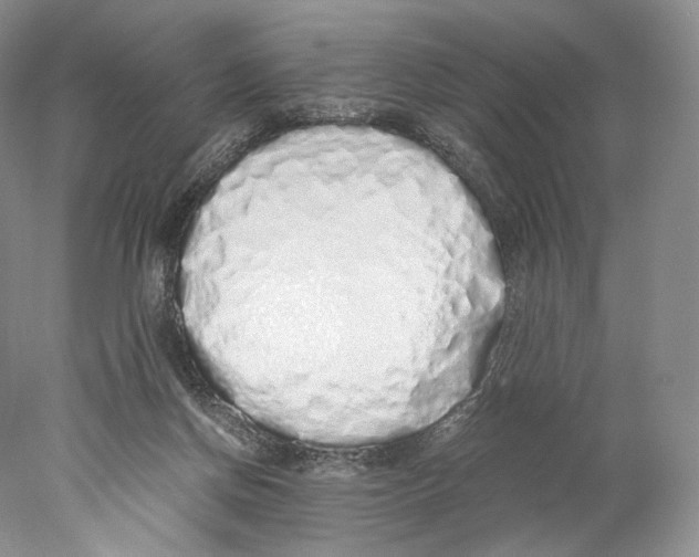 X0000077990166200611251420