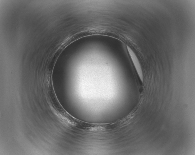 X0000077990168200611251420