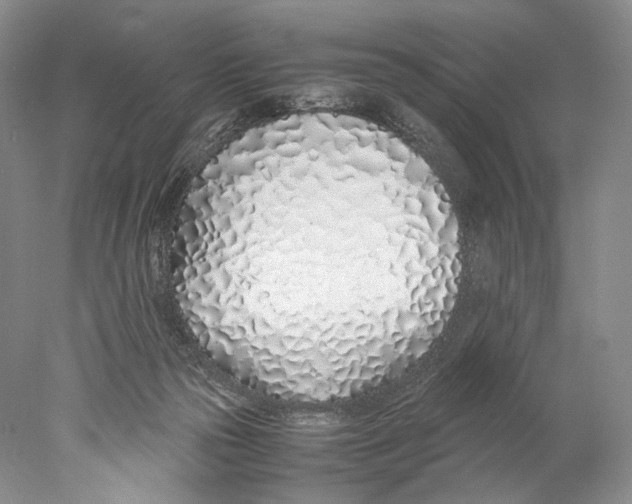 X0000077990169200611251420