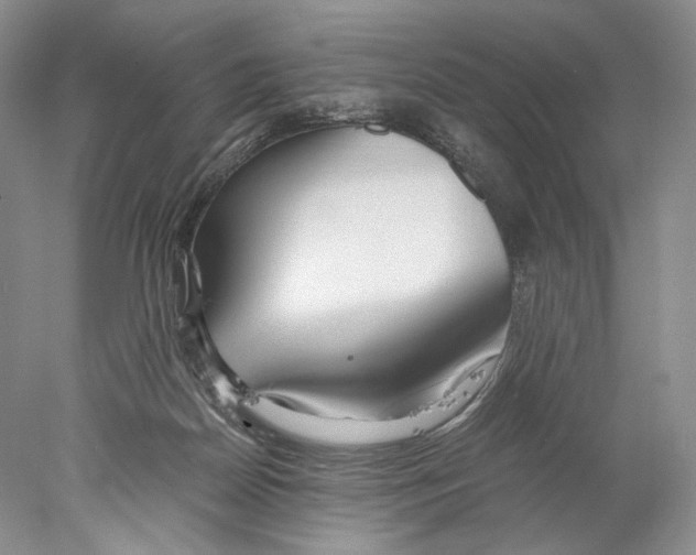 X0000077990170200611251420